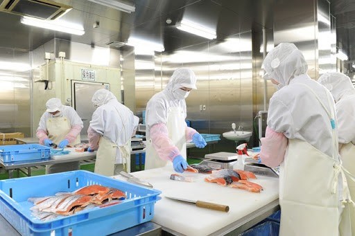 Tuyển thực tập sinh chế biến thủy sản